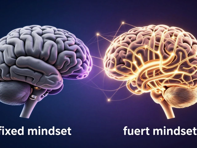 What Is a Successful Mind? Traits, Habits, and How to Build It